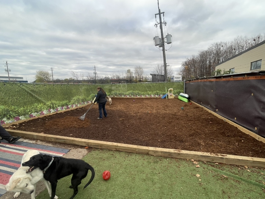 PlaydayPups-facility-yard